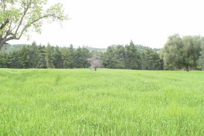 Недвижимость на Халкидики . Участок за городом площадью 22500 кв.м.