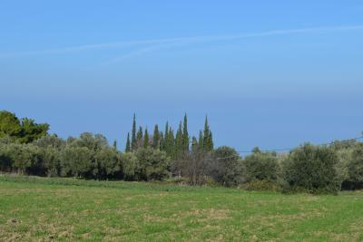 Недвижимость на Халкидики . Участок за городом площадью 3348 кв.м.